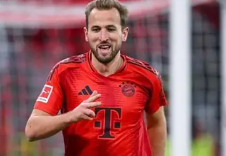 热刺名宿瓦德尔谈凯恩潜在转会动向