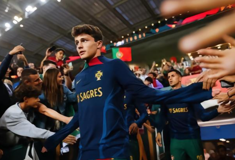 葡萄牙大胜亚美尼亚：若昂&middot;内维斯赛后畅谈比赛感悟