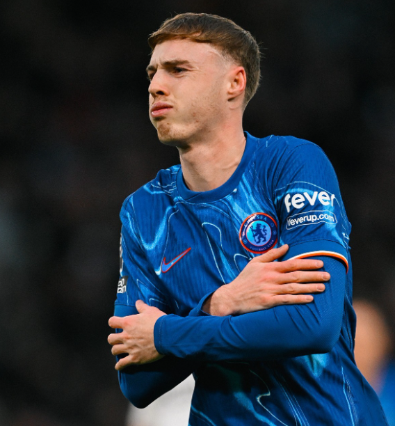 坚守初心,实力铸就辉煌:塞里涅·桑内眼中的帕尔默